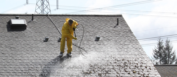 This image shows a man power washing the roof of a house.